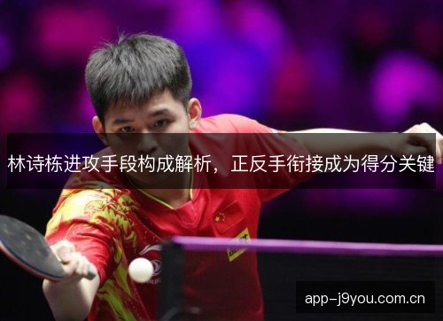 林诗栋进攻手段构成解析,正反手衔接成为得分关键 林诗栋进攻手段构成解析,正反手衔接成为得分关键